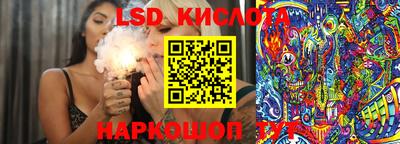 стаф Будённовск