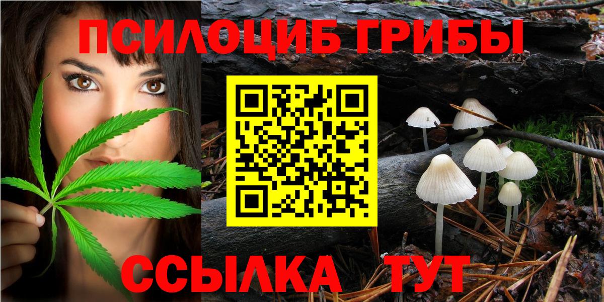 Галлюциногенные грибы мицелий  Галлюциногенные грибы прущие грибы  Красногорск  магазин продажи   Вход с VPN 