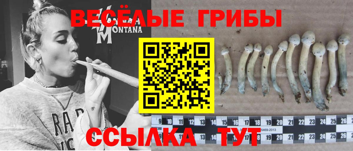 Псилоцибиновые грибы MAGIC MUSHROOMS Красногорск